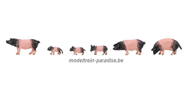 151916 ... Zwabisch-Hallische varkens … Set Figuren .. 6 St