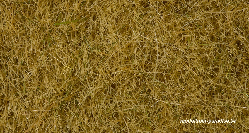 07091 ... Wild Grass, beige, 6 mm