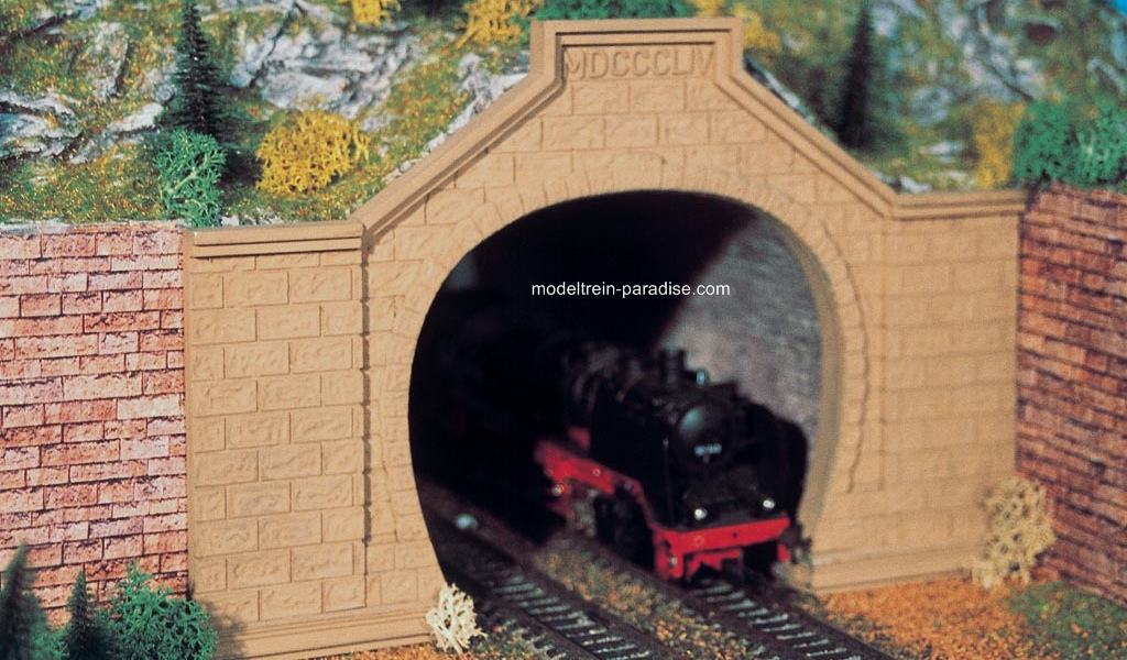 42505 ... Tunnelportaal \"Rheintal\", 2 sporen